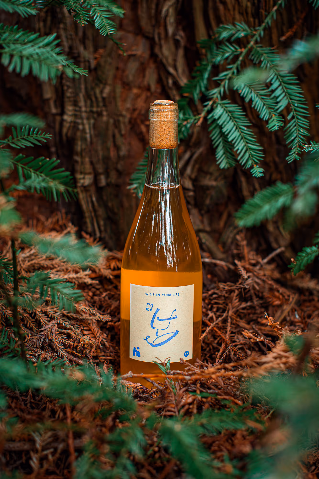 Koshu meets Chardonnay bottle