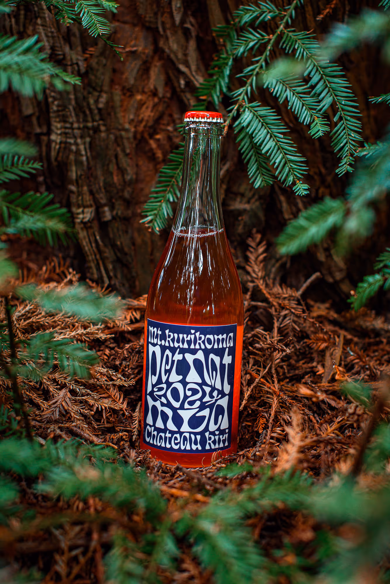Pet Nat bottle