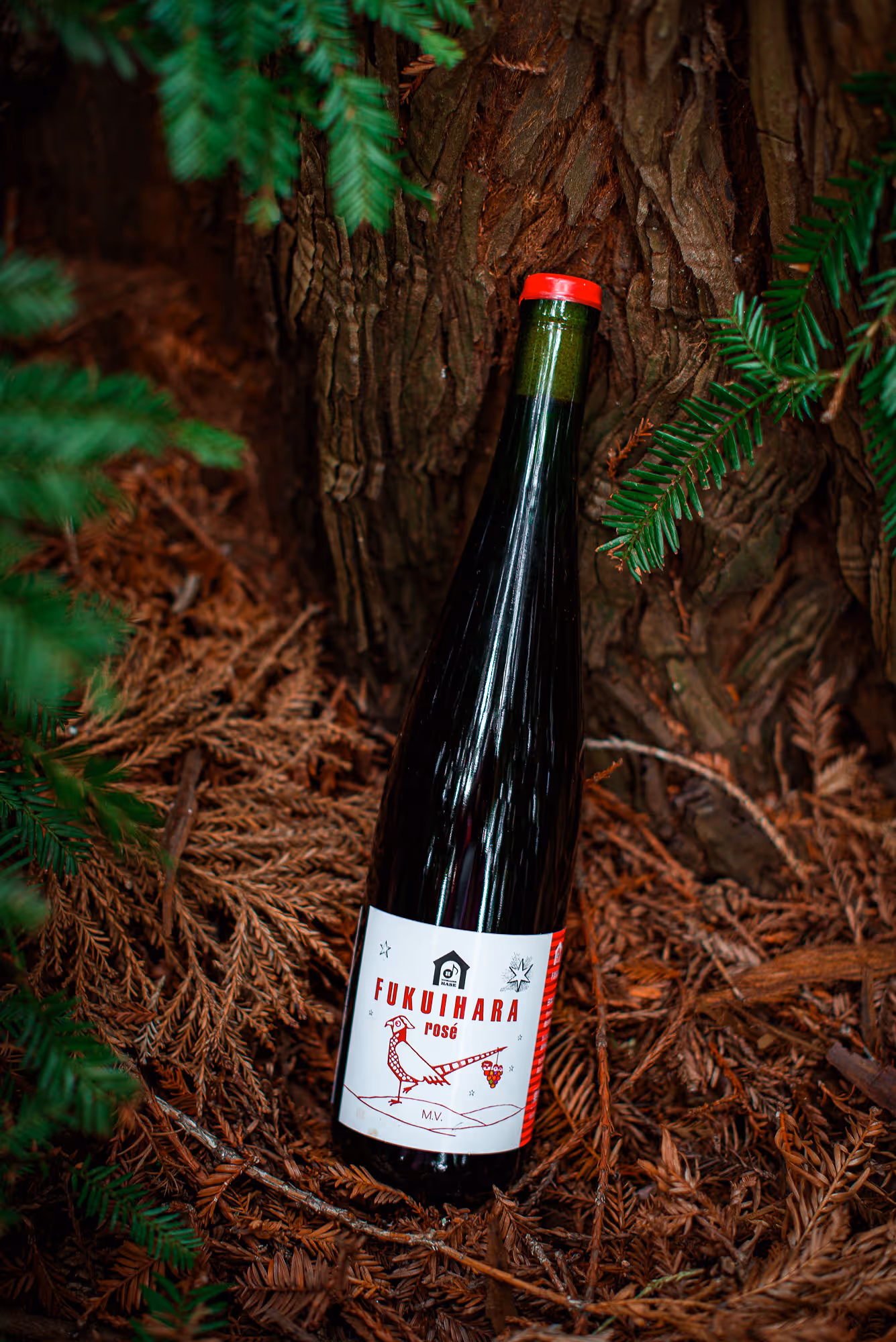 Fukuihara Rosé bottle