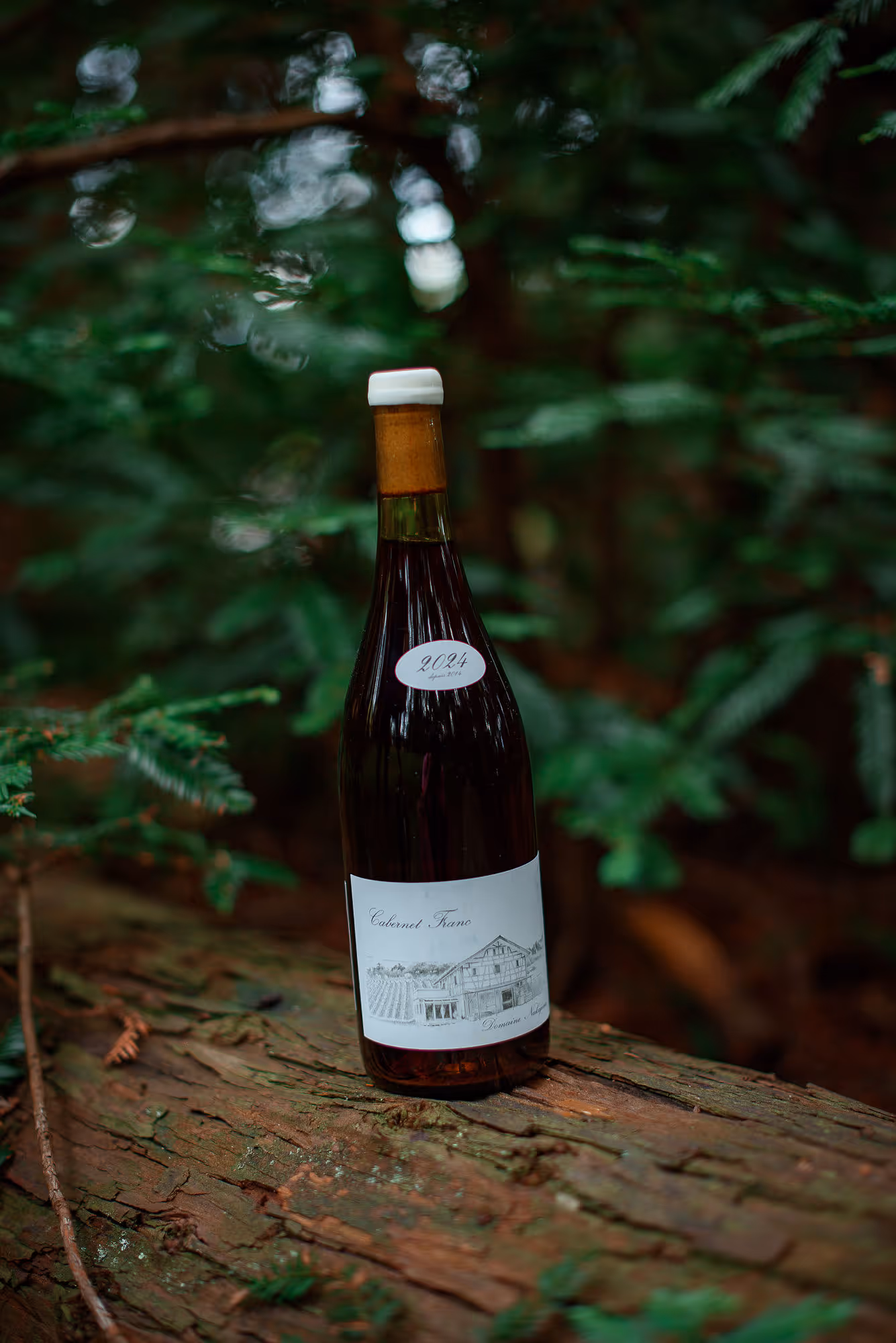 Cabernet Franc bottle