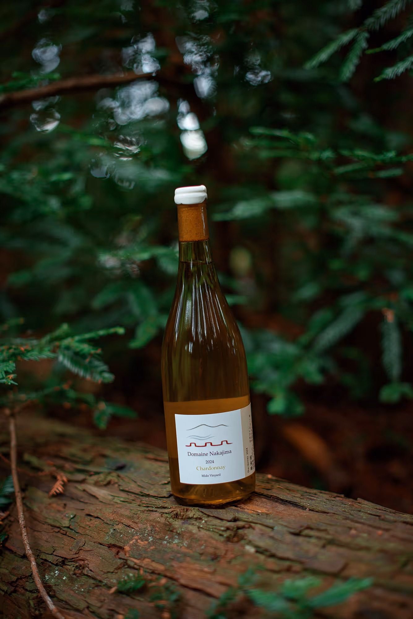 Chardonnay bottle