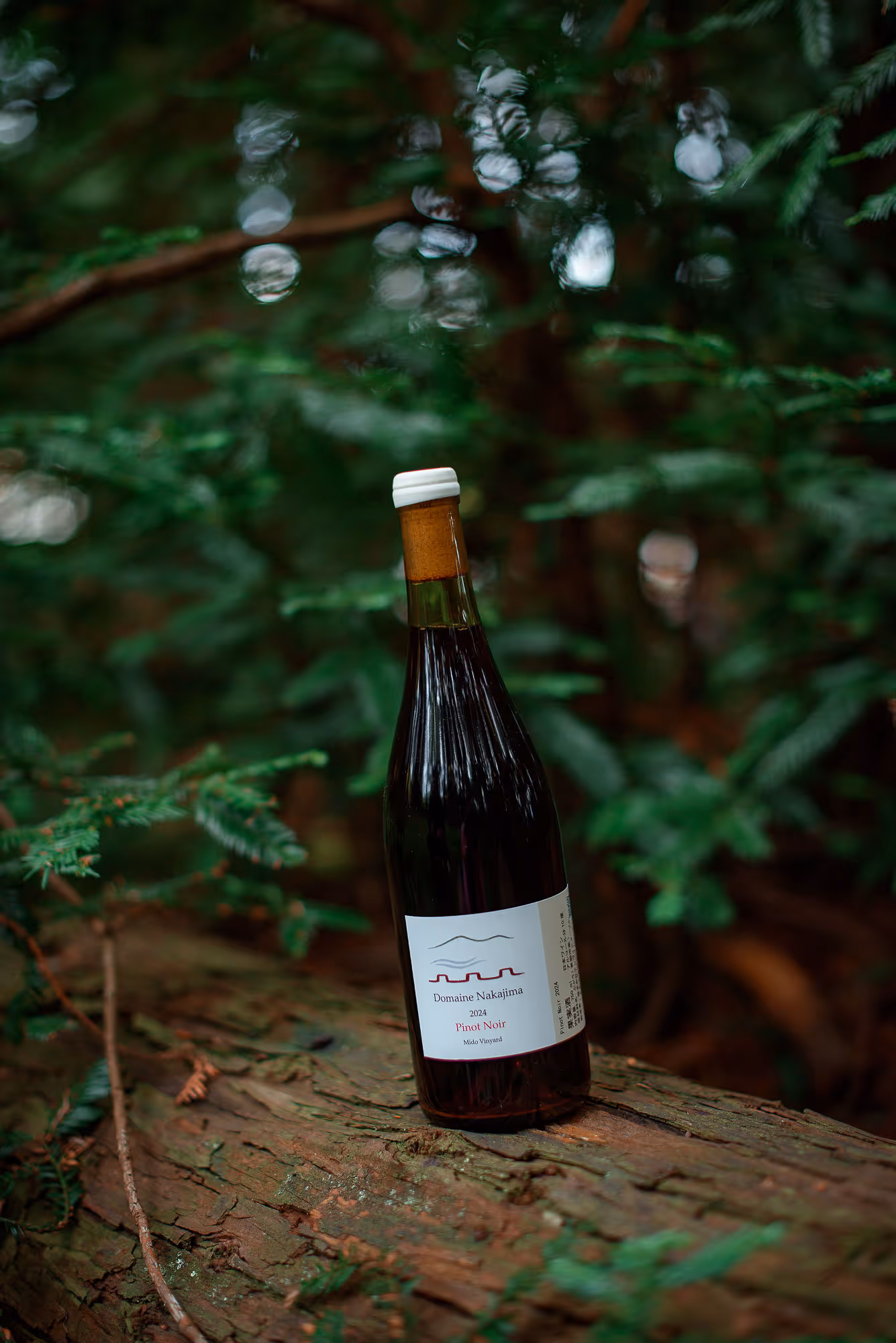 Pinot Noir bottle