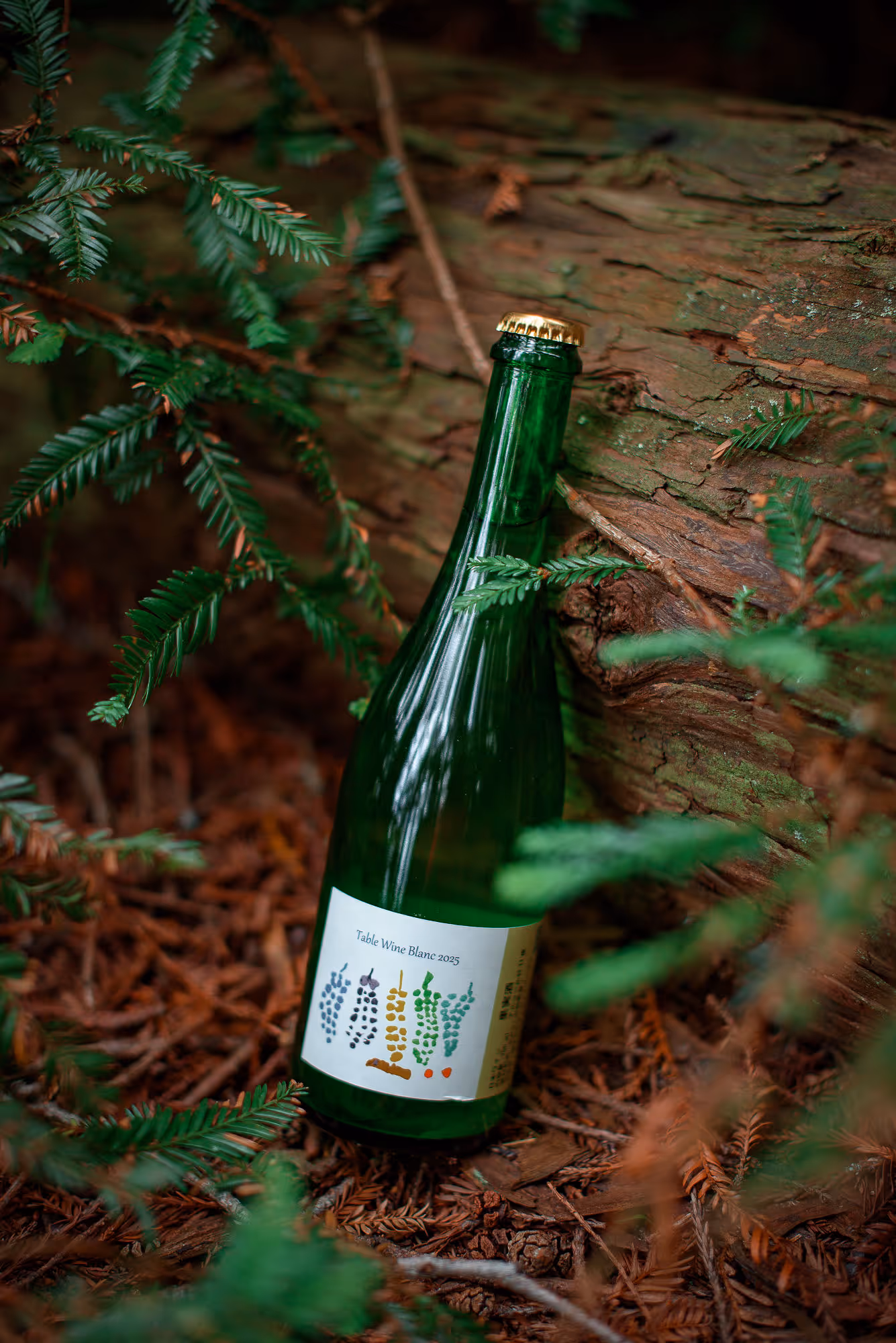 Table Wine Blanc bottle