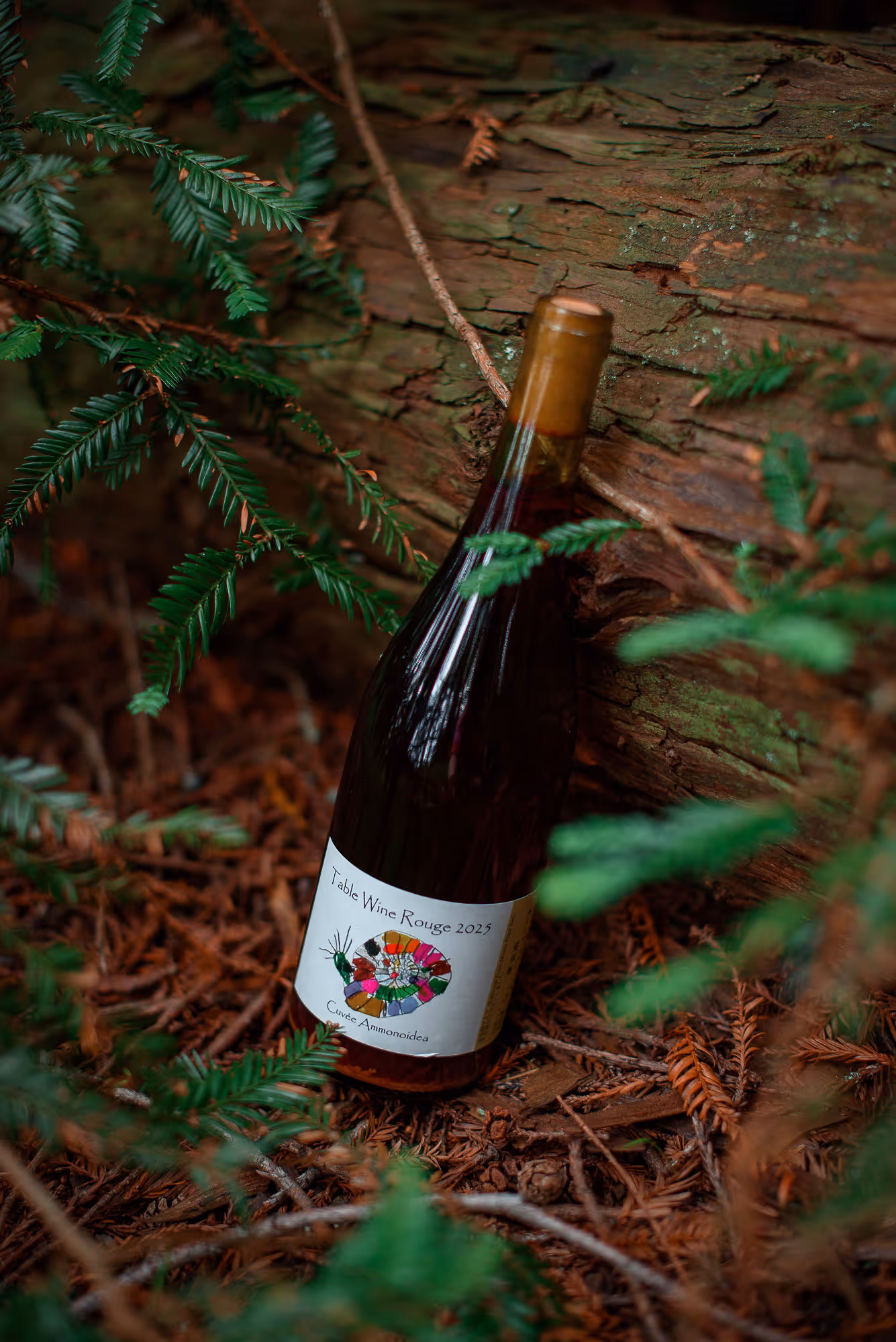 Table Wine Rouge bottle