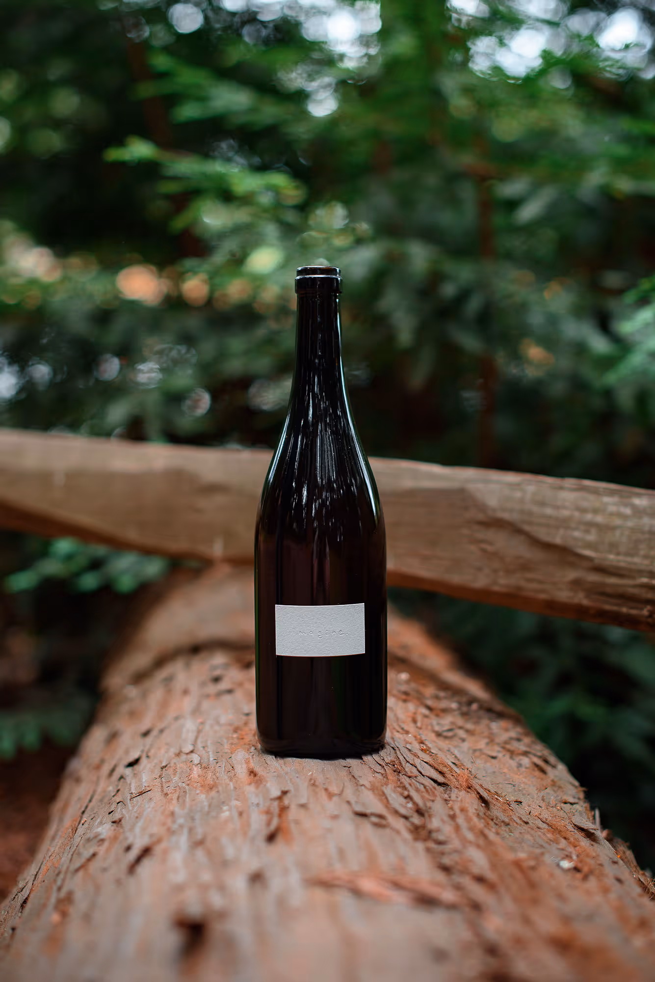 imagine bottle