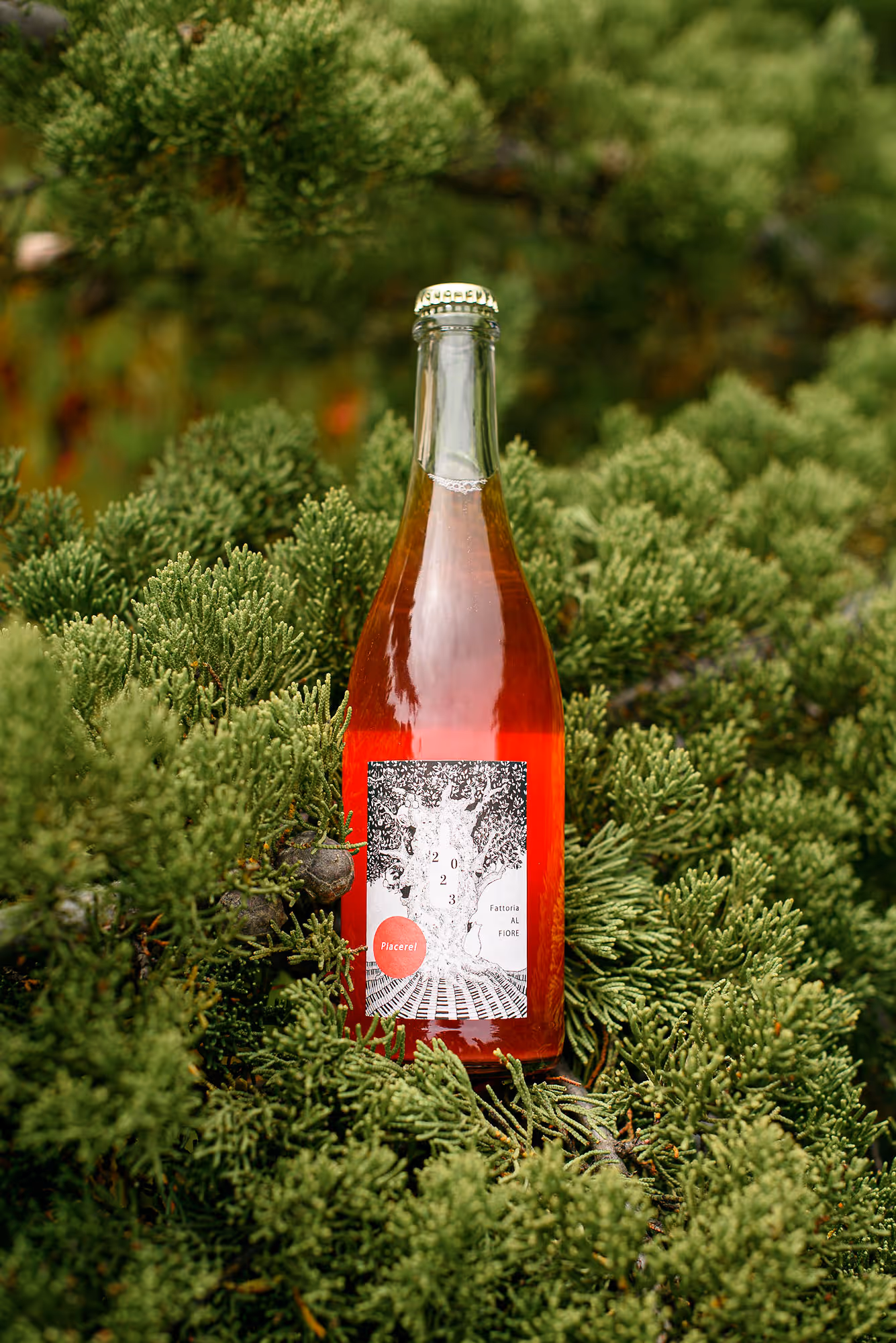 Piacere! bottle