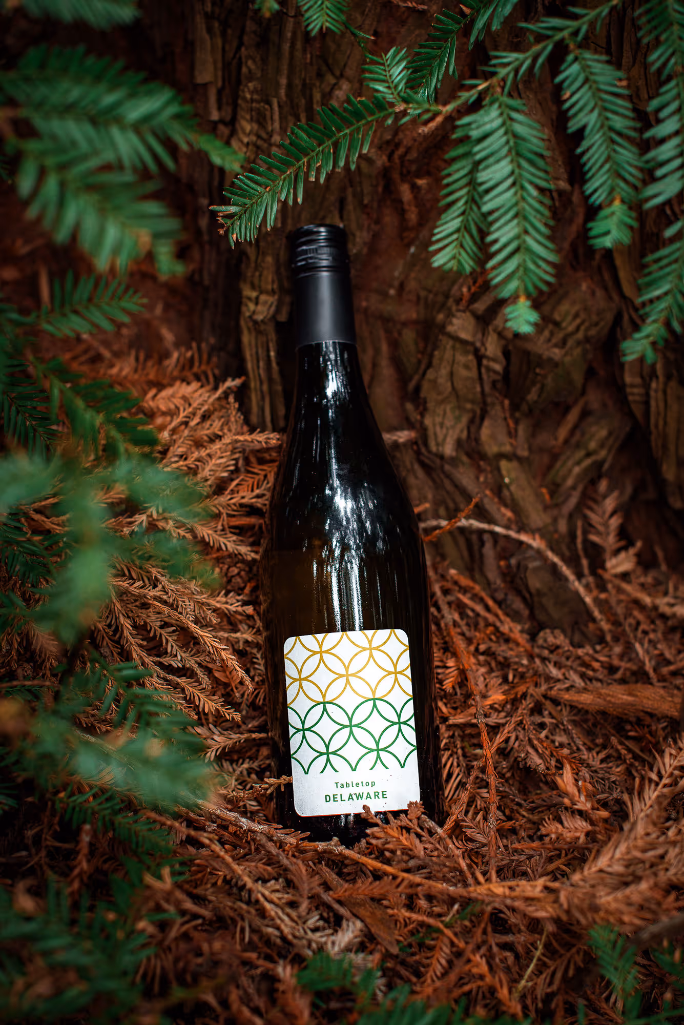 Tabletop Delaware bottle