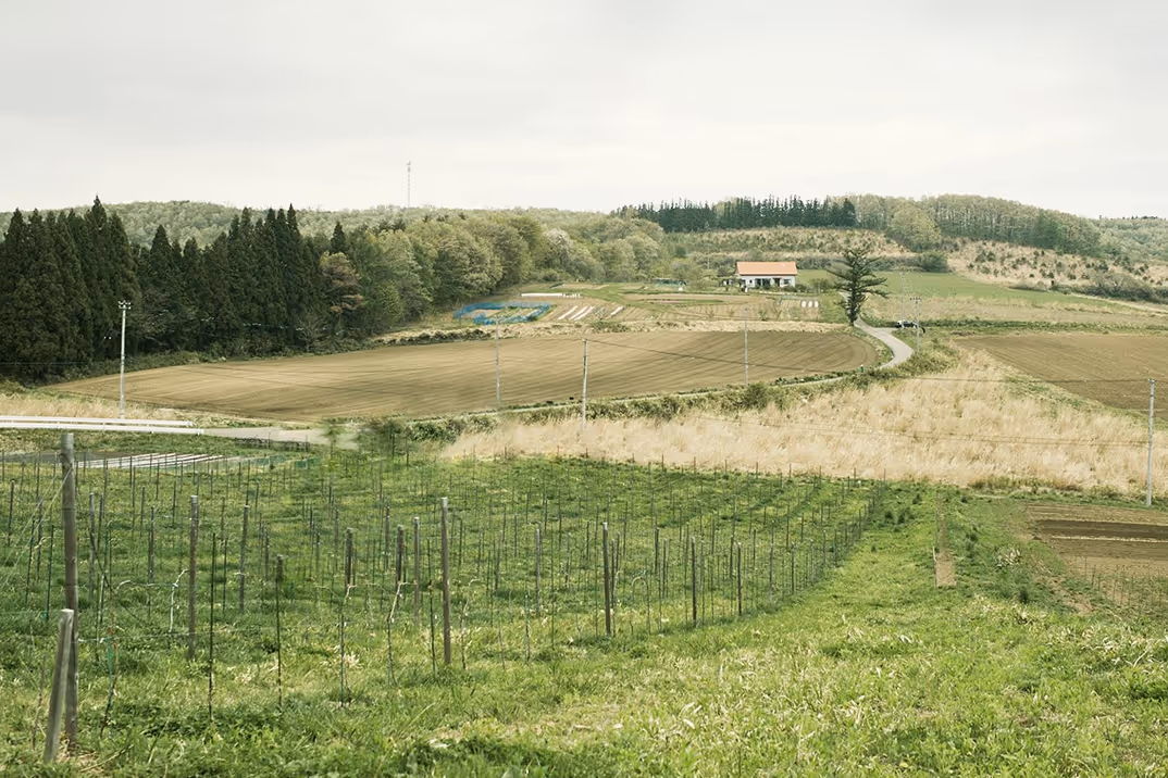 Fattoria AL FIORE winery