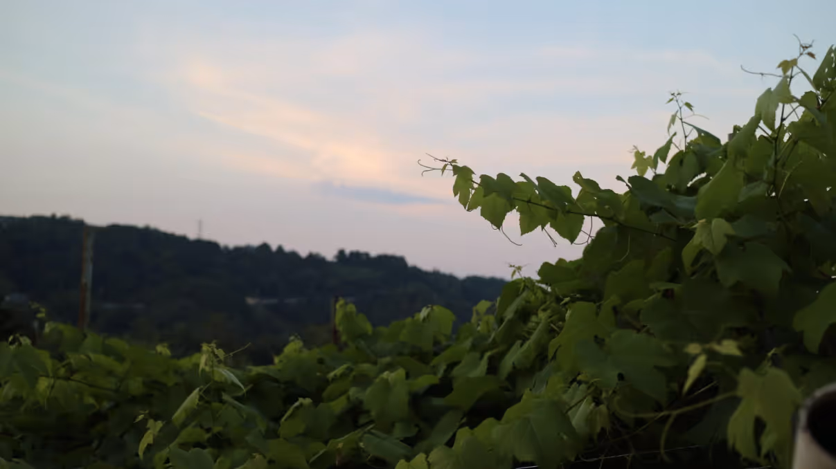 Fujimaru Winery winery