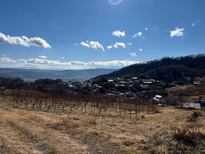Tomorrow Wines winery