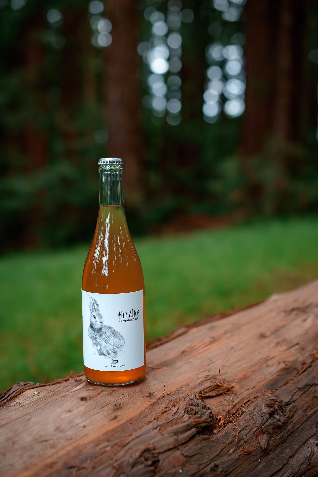 For Alice bottle